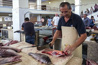 Fish hall, fish market, market hall Mercado dos Lavradores, Funchal, Madeira Island, Portugal,