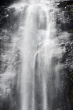 Protesters falls waterfall, water, fresh, nature, environment, Nightcap National Park, Queensland,