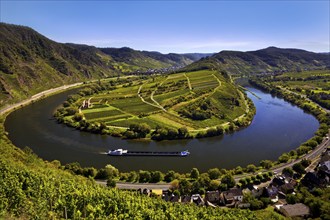 Moselle loop with cargo ship from the Bremmer Calmont via ferrata, Bremm, Rhineland-Palatinate,