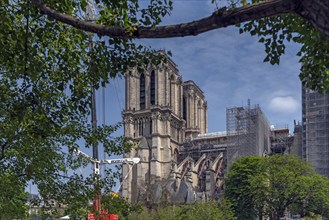 Notre Dame scaffolded, rebuilding after the fire, Paris, France, Europe