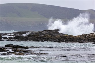 Waves, Curio Bay, Südland, Neuseeland