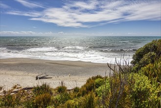 Ship Creek, Strand, Neuseeland