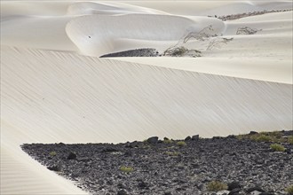 Dunes formed by blown in Sahara desert sand and volcanic rocks in the Deserto de Viana desert on