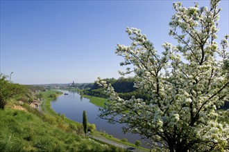 View of Meissen in the Elbe valley