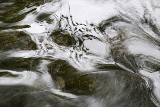 Stream, detail with reflection, Swabian Alb, Baden-Württemberg, Germany, Europe