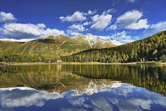 Autumn atmosphere with discoloured larches, Lake Staz, Lej da Staz, St. Moritz, Engadin, Canton