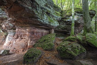 Old castle rock, red sandstone rock formation, natural and cultural monument, Brechenberg near