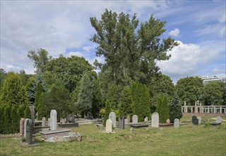 Jewish cemetery on Okopowa Street, Warsaw, Mazovian Voivodeship, Poland, Europe