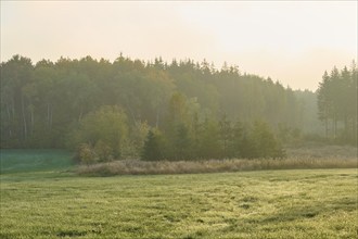 Meadow landscape, forest, sky, clouds, sunrise, autumn, beeches, Odenwald, Baden-Württemberg,