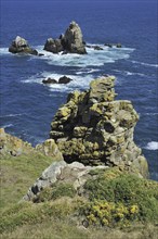 Sea stacks along the rocky coast at Cap de Sizun, nature reserve and bird sanctuary in Finistère,