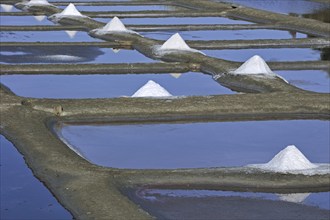 Salt pan for the poduction of Fleur de sel, sea salt on the island Ile de Ré, Charente-Maritime,