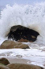 Wave crashing into boulder in the surf at the Côte Sauvage, Wild Coast, Quiberon, Brittany, France,