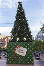 Christmas tree, city centre, Wellington, New Zealand, Oceania