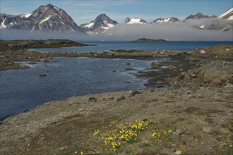 Fog and barren coastal landscape with high mountains, Kulusuk, Arctic, Greenland, Denmark, North