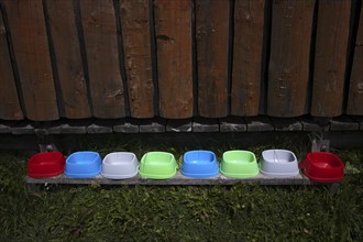 Water bowl, water bowl for dogs, alpine pasture, Puez-Odle nature Park, Seceda, Trentino, South