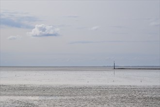 Low tide in the Wadden Sea National Park, Norddeich, Norden, East Frisia, Lower Saxony, Germany,