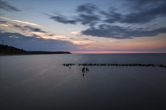 Groynes in front of the Baltic Sea coast at dusk, long exposure, Heringsdorf, Usedom, Germany,