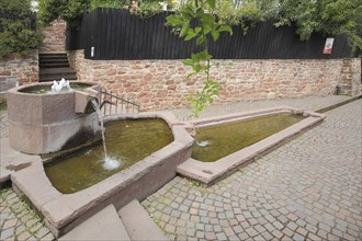 Red fountain, water basin, water features, Seligenstadt, Main, Hesse, Germany, Europe