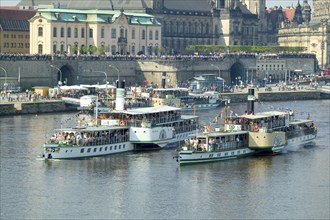 Steamboat parade on the Elbe