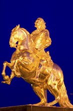 Golden Rider