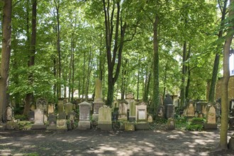 The Old Jewish Cemetery in Dresden is the oldest Jewish cemetery in Saxony. It is located on