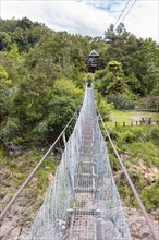 Buller Gorge Swingbridge, Buller River, Murchison, Neuseeland