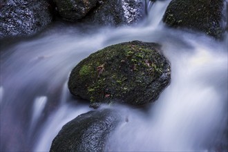 Gertelbach, Gertelbach Waterfalls, Gertelbach Falls, close-up, Gertelbach Gorge, Bühl, Bühlertal,