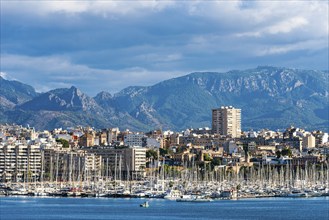 Marina of Palma De Mallorca, Spain, Europe