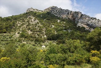 Gorge and climbing rocks, Gorges d'Ubrieux, Buis-les-Baronnies, Drôme department, Provence,