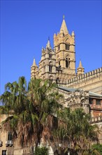 City of Palermo, the West Tower of the Archbishop's Palace and the Cathedral Maria Santissima