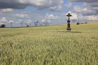 Field cross in a wheat field, in the background power lines, near Dukovany, Czech Republic, Grain