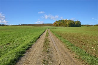 Field path, field landscape, grain field, forest, sky, clouds, Duttenbrunn, Zellingen, Würzburg,