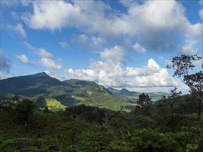 Knuckles Mountains, Meemure, Sri Lanka, Asia