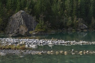 Stilluptal, Stillupgrund, Mayrhofen, High Mountain nature park Park Zillertal Alps, water