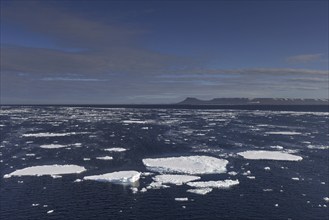 Ice floes in the Erik Eriksenstretet, strait in the Svalbard archipelago, separating Kong Karls