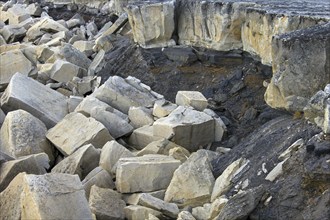 Rock stratification along the coast of Boltodden, Kvalvagen, Svalbard, Spitsbergen, Norway, Europe