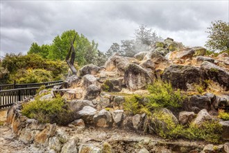 Geothermal, Park, Rotorua, New Zealand, Oceania