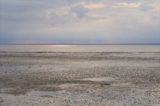 Evening atmosphere in the Wadden Sea National Park, low tide, Norddeich, Norden, East Frisia, Lower