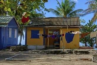 A colourful beach house with laundry on the line surrounded by palm trees under a blue sky,