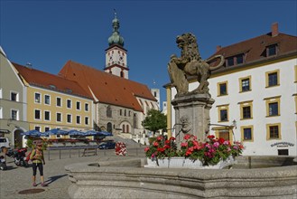 Fountain with lion statue on a sunny market square with church in the background and walking woman,