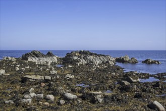 Fallen sea stack on beach at Portgower, Helmsdale, Sutherland, Scottish Highlands, Scotland, UK