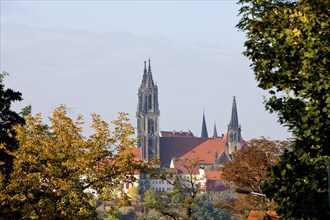 Meißener Scherenschnitt