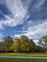 English Garden in autumn, dynamic cloud structure, Munich, Bavaria, Germany, Europe