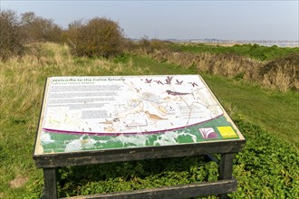 Natural England information sign, River Colne estuary, Mersea Island, Essex, England, UK