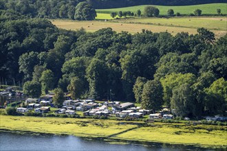 Campingpark Lake Baldeney, Elodea, an invasive species, green plant carpet on the Lake Baldeney in