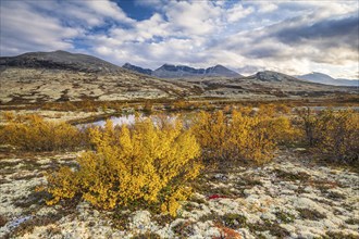 Autumn landscape in Rondane National Park, mountains Høgronden, Midtronden and Digerronden Dørålen,