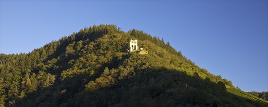 Ruin of Grevenburg Castle on the ridge, Traben-Trarbach, Middle Moselle, Rhineland-Palatinate,