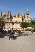 Horse and carriage rides for tourists in the historic central area near the cathedral, Seville,