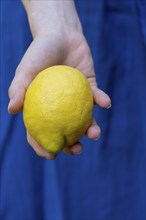 Young woman with lemons, Upper Bavaria, Bavaria, Germany, Europe