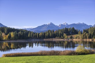 Hegratsrieder See near Füssen, Allgäu Alps, Allgäu, Bavaria, Germany, Europe